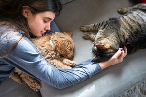 Mujer durmiendo con su perro y gato l Imagen de referencia