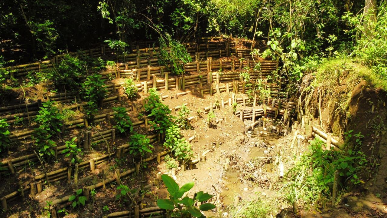 Estos trinchos en madera permiten proteger al Lago de La Babilla de la escorrentía producto de las grandes lluvias.