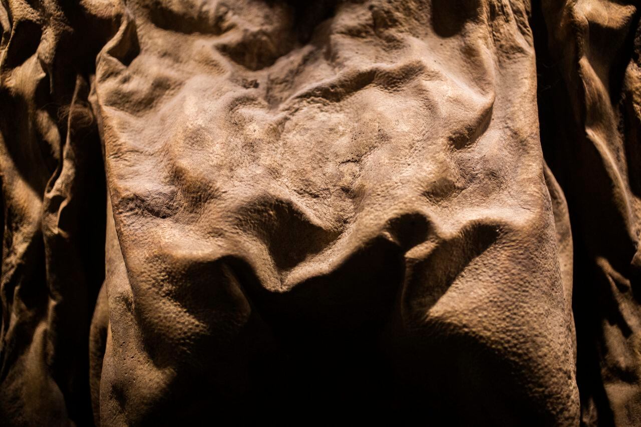 Detalle de la piel del pecho de una momia en el Museo de las Momias de Guanajuato.