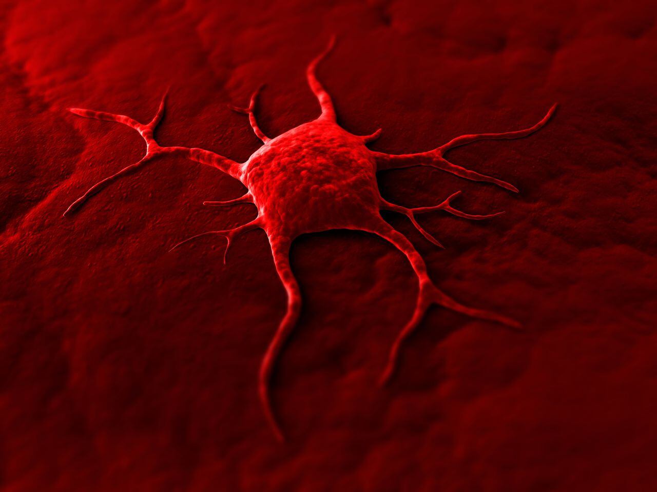 Célula Cancerígena en el cuerpo humana.