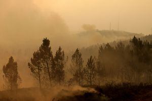 El humo cubre el bosque quemado de Alto do Soeirinho en Portugal.