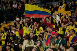 Aficionados de Colombia animan durante el partido de cuartos de final de la Copa Mundial Femenina de fútbol entre Inglaterra y Colombia en el Estadio Australia en Sídney, Australia, el sábado 12 de agosto de 2023. (Foto AP/Rick Rycroft)