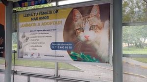 En tres estaciones del MÍO los usuarios del sistema pueden toparse con anuncios que contienen información de lugares donde podrán adoptar un gato.