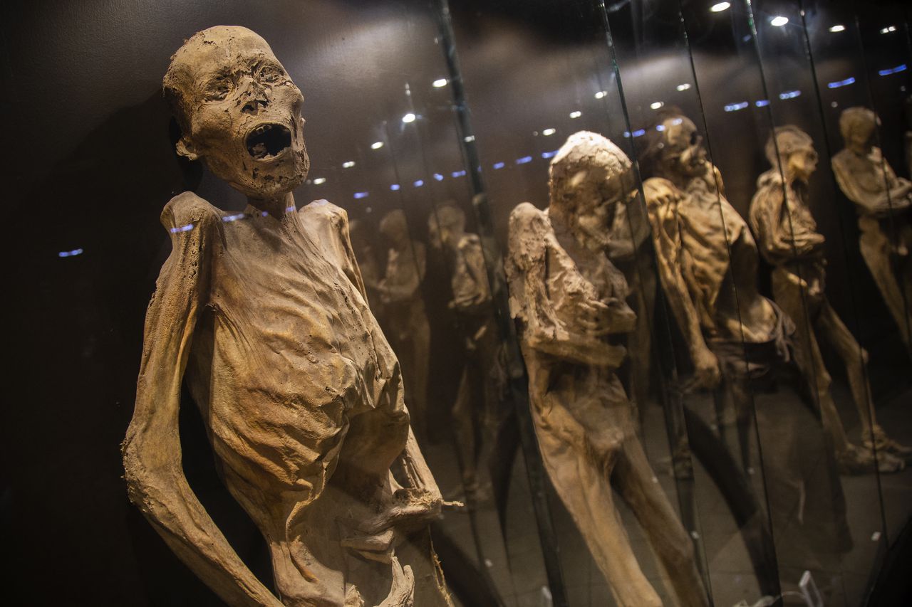Las momias se exhiben en el Museo de las Momias de Guanajuato en México.
