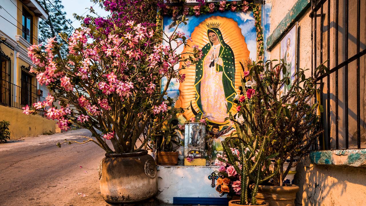 Construir altares es una forma de brindar un homenaje a la Virgen de Guadalupe.