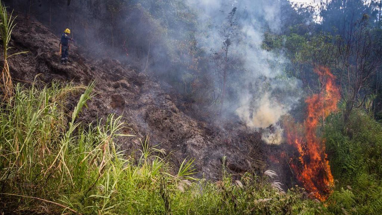 El corregimiento de San Cristóbal y otras dos comunas son las más afectadas por incendios de cobertura vegetal en Medellín.