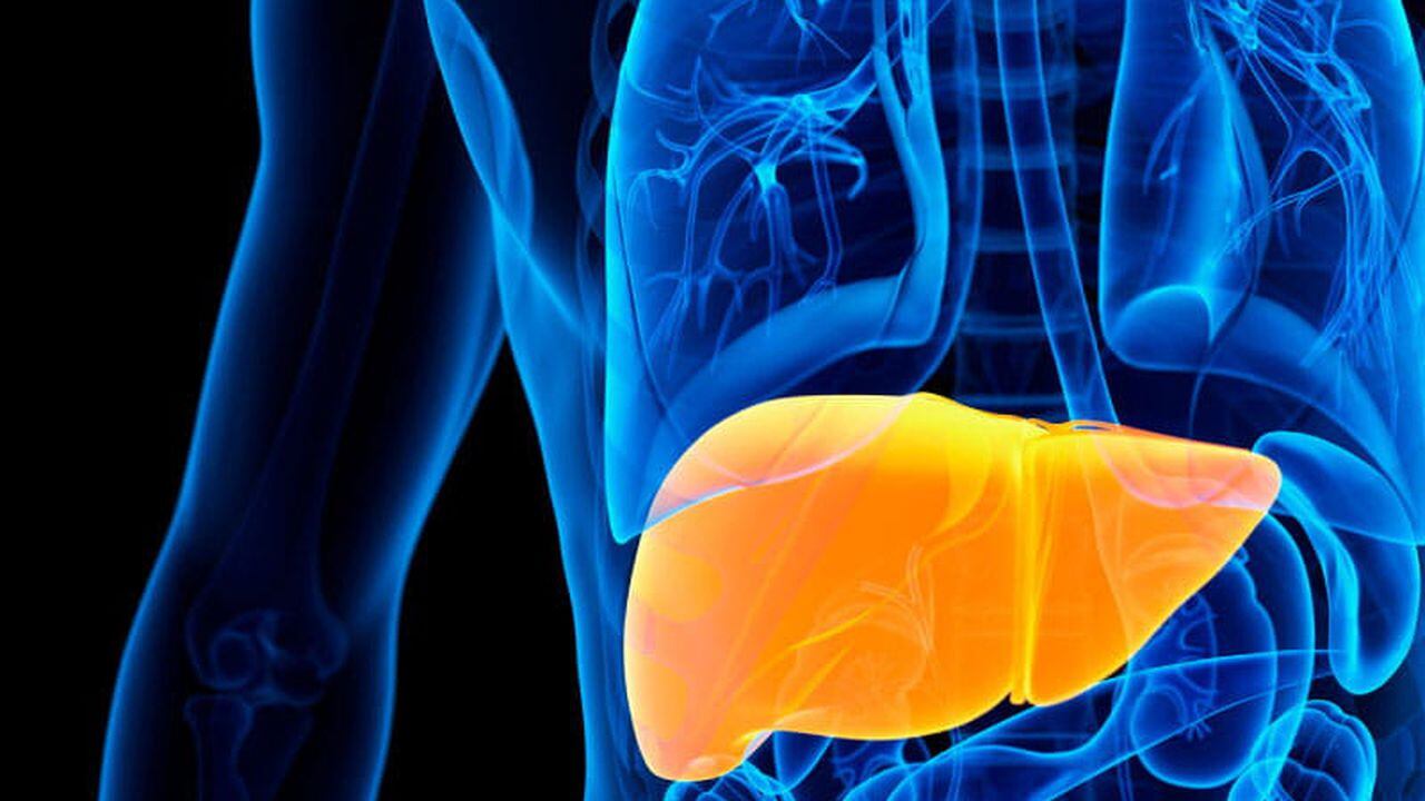 La acumulación de grasa en el hígado puede desembocar en la propagación al interior del cuerpo de diabetes.
