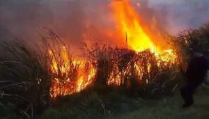 Se han atendido unos ocho incendios forestales de gran magnitud en Cundinamarca, en las últimas horas.