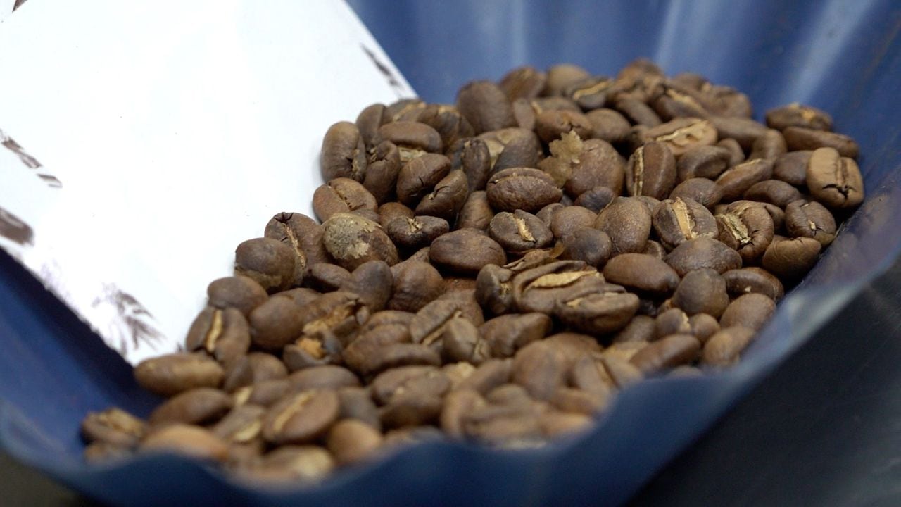 Según las catadoras, el café del Valle es exótico de tipo exportación.