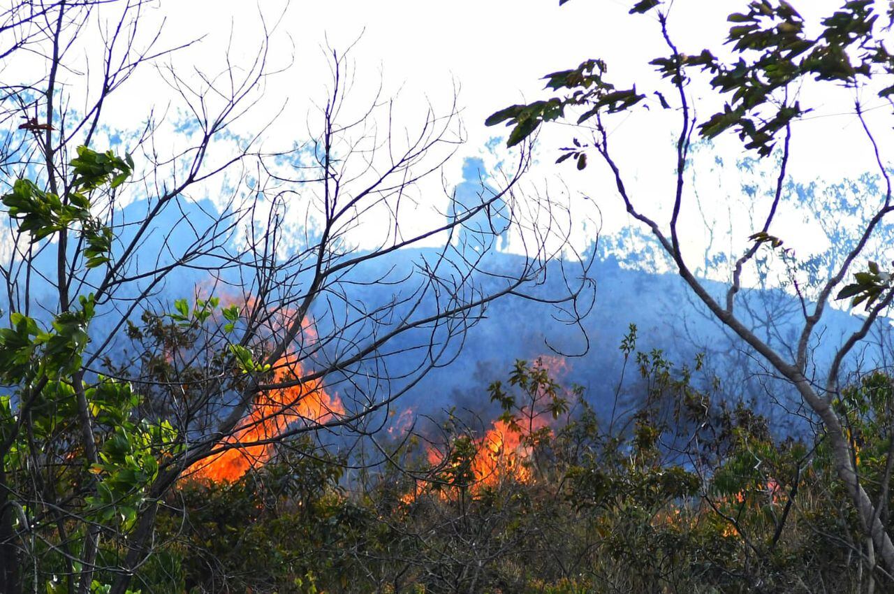 Incendio forestal en el cerro de la Bandera al sur de Cali consume varias hectáreas de bosques.