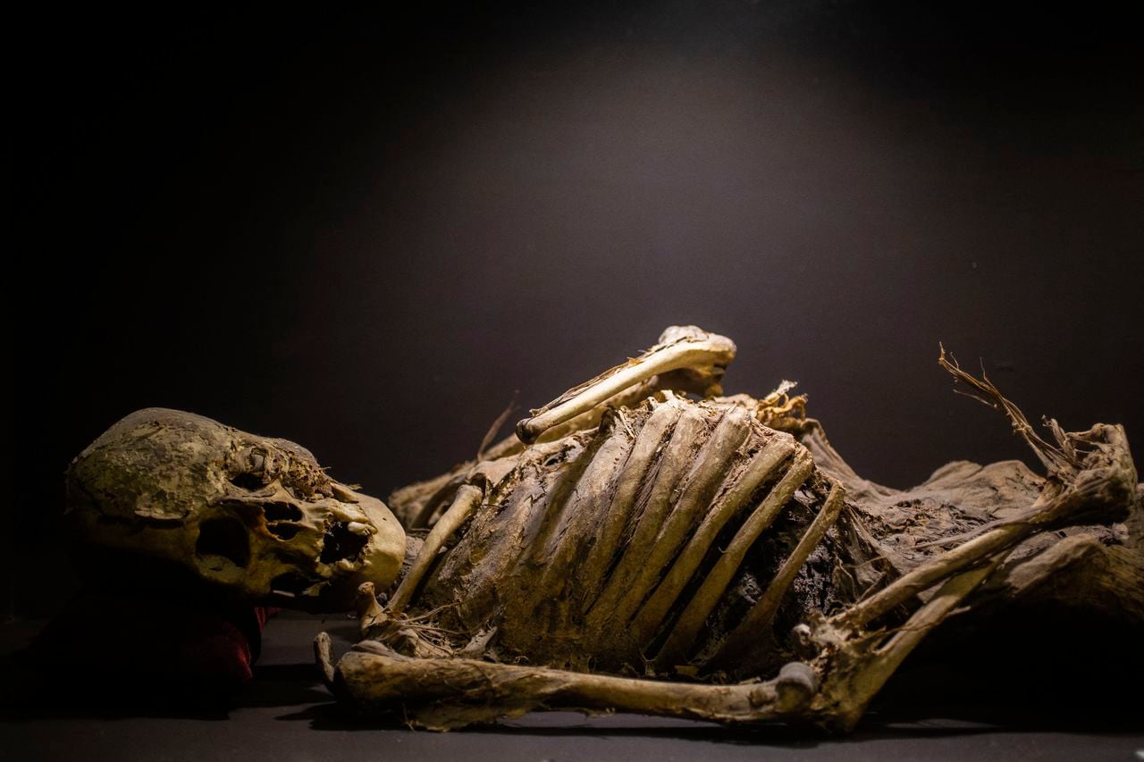 Las momias de Guanajuato están distribuidas en tres museos en este municipio conocido internacionalmente por sus espectaculares callejones y kilómetros de túneles, rastros de un pasado minero.