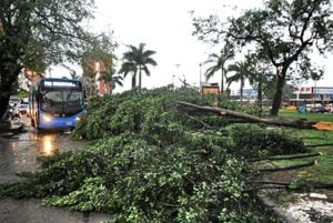 Siete árboles que estaban sobre el separador de la  Carrera 1 con Calle 52 cayeron tras las fuertes lluvias.