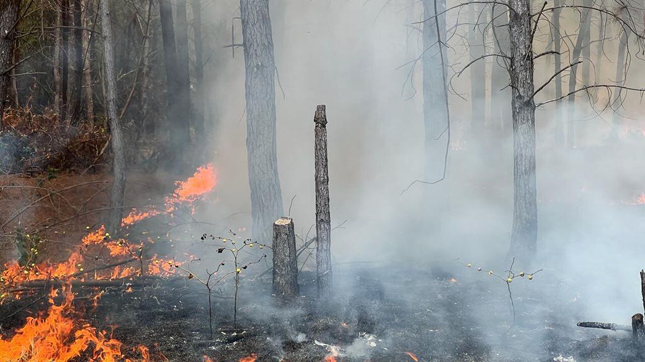 Terrible situación en el Cauca: presuntos invasores atacaron a población civil y generaron incendio forestal.