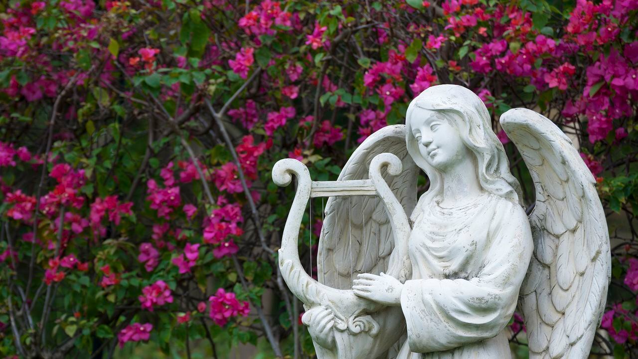 Guía Divina para Hoy: Deje que los ángeles iluminen sus decisiones y acciones en el día a día.