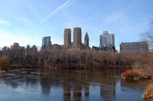New York Central Park in winter