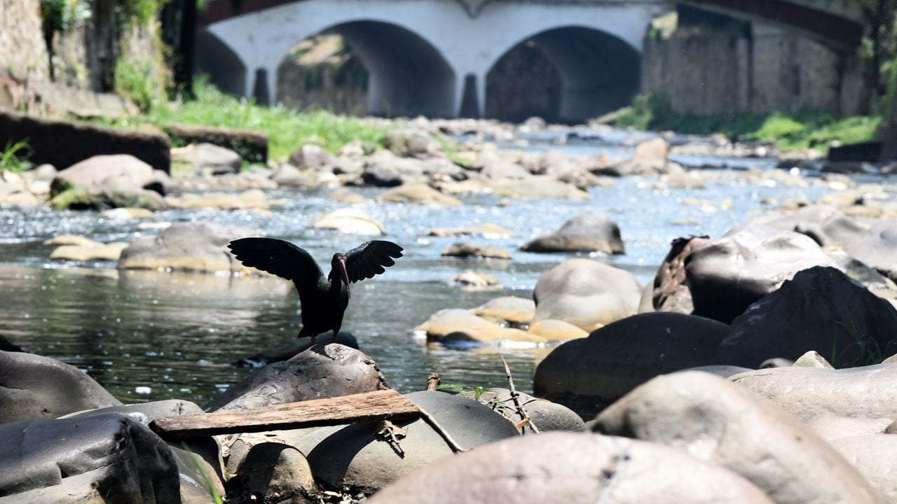 Cali: Bajo nivel del caudal  en los principales ríos de la ciudad, ocasionado por la falta de lluvia generado por el fenómeno del niño. foto José L Guzmán