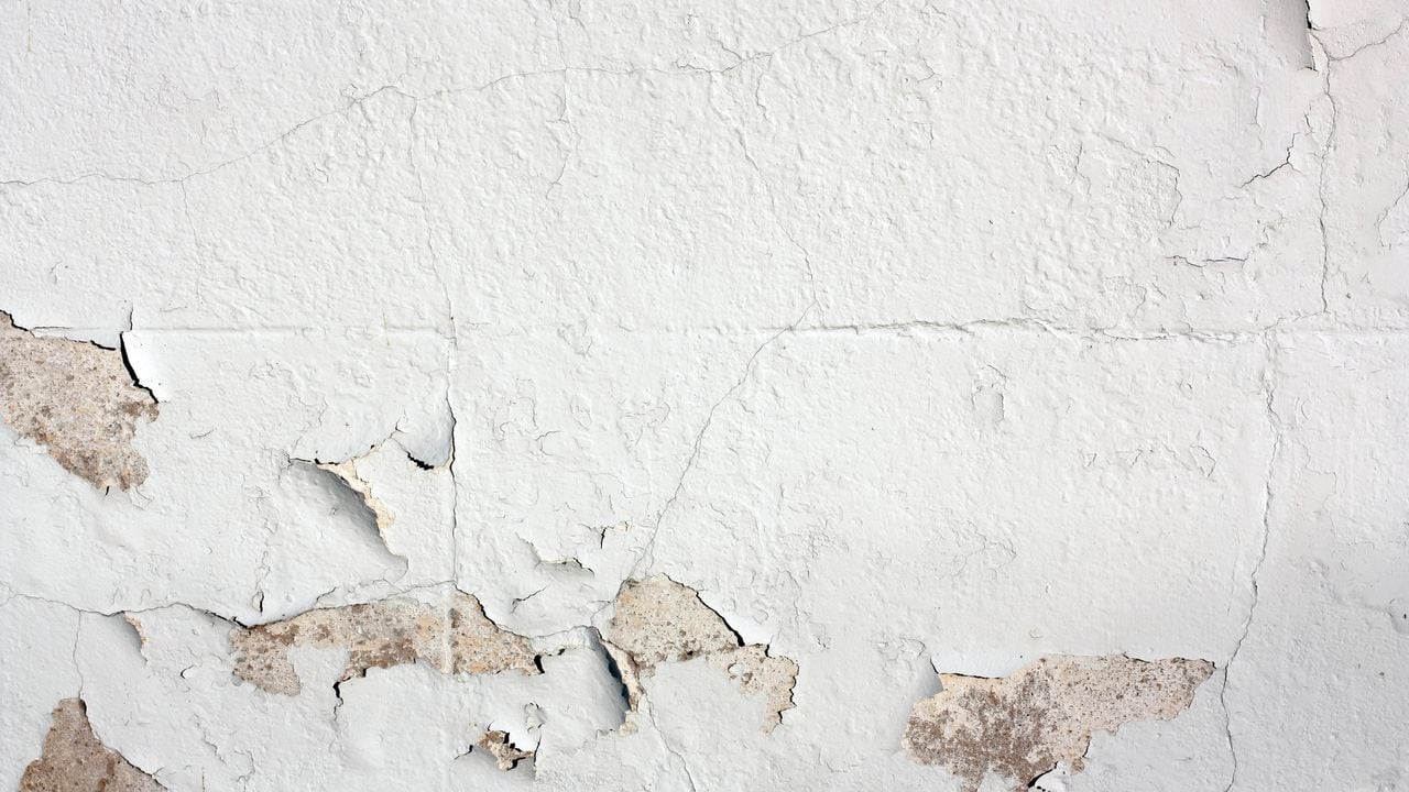 Cómo arreglar una pared con humedad?