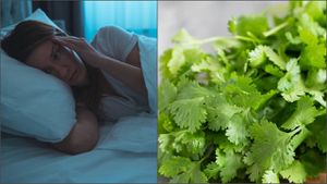 ¿Cómo se utiliza el cilantro para tratar el insomnio?