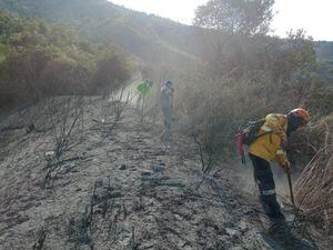 Más de 40 unidades de los cuerpos de bomberos de Yotoco, Calima-El Darién, Restrepo y Yumbo combaten el incendio forestal.