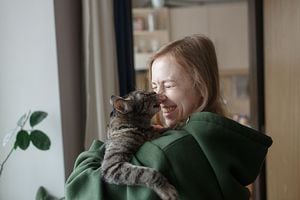 Smiling woman in the green sweater hugs her cat tenderly in the spacious room. Tabby grey pet bites girl's nose. Soft daylight illuminate them gently through the window.