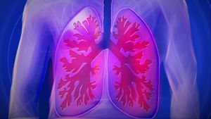 Pulmones, sistema respiratorio, tos.