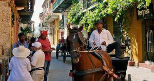 Caballos utilizados para empujar coches turísticos en Cartagena.