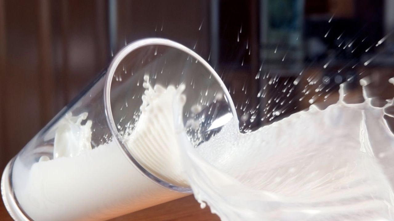 La leche proporciona entre un 10 % y un 15 % de la ingesta diaria recomendada de vitaminas del complejo B