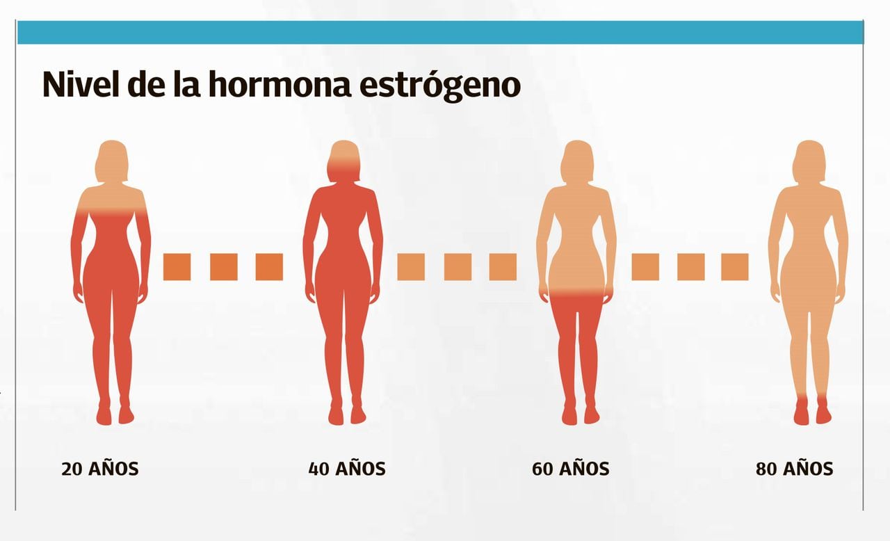 Nivel de la hormona estrógeno