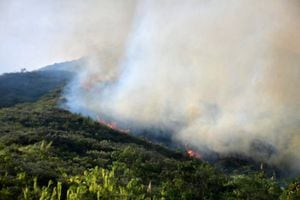 incendio forestal amenaza al jardín Botánico de Cali