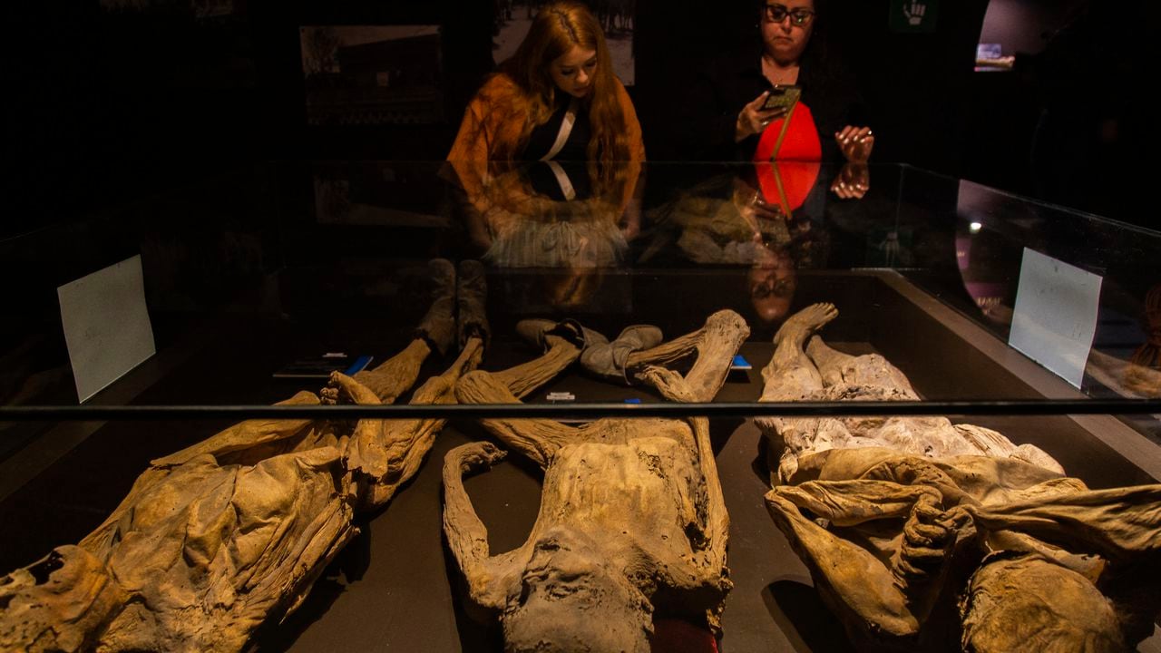 Visitantes observan momias en el Museo de las Momias de Guanajuato en México.