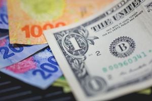 Dólar oficial y dólar blue en Argentina: Minuto a minuto de las cotizaciones