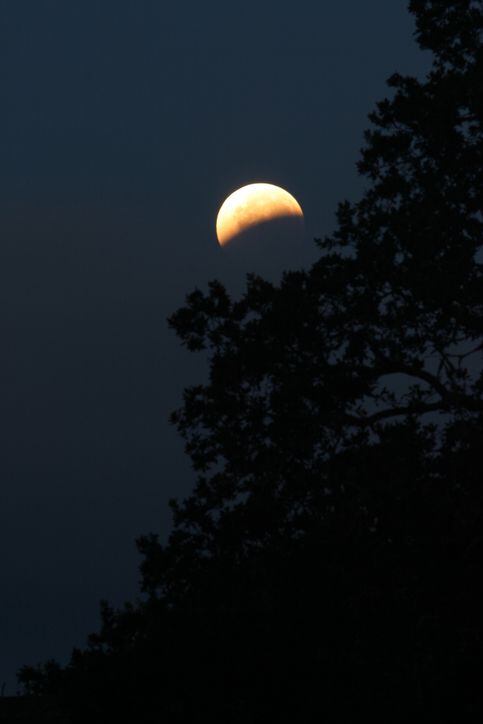 lunar eclipse taken in Texas
