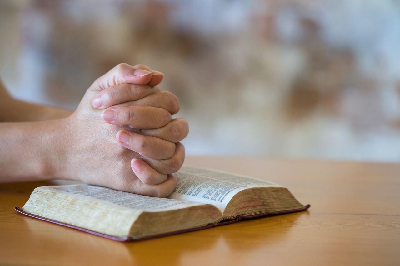 bible, hands of women praying