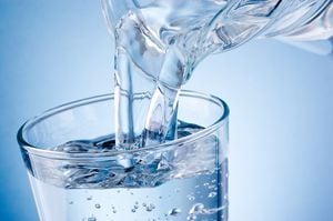 El ser humano está compuesto en un 70 % por agua. Consumir este líquido incoloro es esencial para mantener saludables los órganos del cuerpo, para hidratarse después de una jornada de ejercicio y es vital para el buen funcionamiento del cerebro