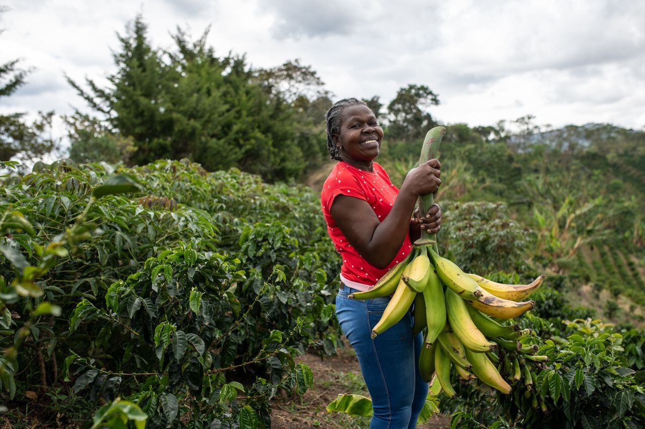 Rocío Mosquera, miembro de Red de Mujeres, sostiene un racimo de plátanos en la finca La Coqueta, en La Sierra, departamento del Cauca.