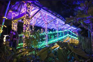 Del 6 de diciembre del 2021 al 16 de enero del 2022, el Jardín Botánico de Bogotá se vestirá de Navidad, con miles de bombillos LED que ambientarán una sensación marítima por medio de figuras representativas del océano.