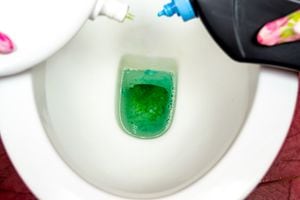 La innovadora técnica de limpieza: gelatina, el ingrediente clave para un inodoro reluciente.