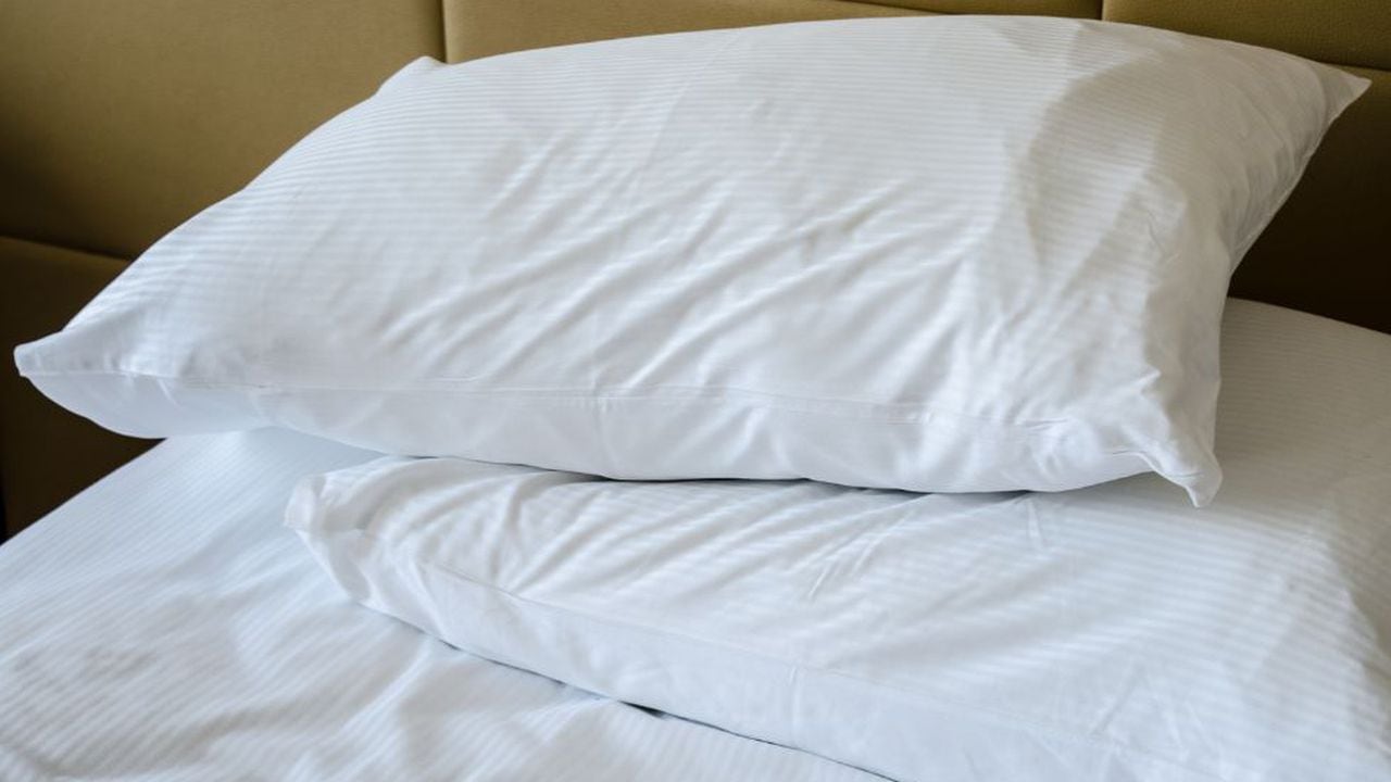 Las fundas de almohadas sin lavar se convierten en un caldo de cultivo para los ácaros del polvo y los alérgenos.