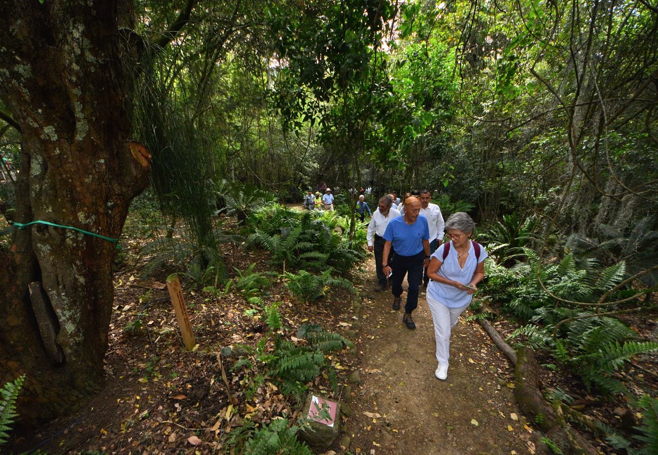 El Jardín Botánico de Cali fundado en  2001 promueve la conservación, investigación y educación ambiental de la flora del Valle del Cauca.