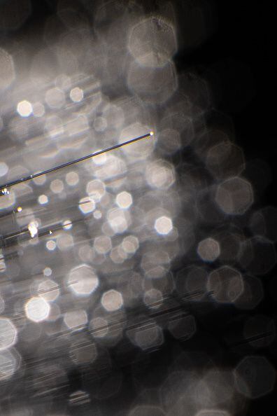 Científicos chinos lograron la distribución de claves cuánticas (QKD) de dos campos a través de una fibra óptica de 1.002 kilómetros, un paso crítico hacia una futura red cuántica a gran escala.(Photo by Sebastian Gollnow/picture alliance via Getty Images)