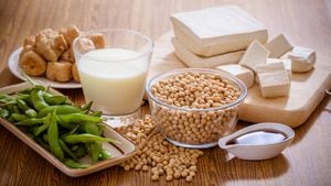 Harvard presenta nuevas conclusiones sobre cómo el consumo regular de soja podría influir en nuestra salud a largo plazo.
