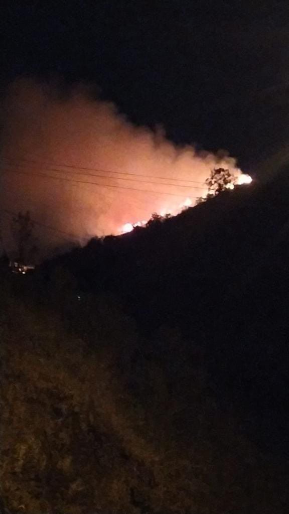 Incendio forestal en la vereda Montañuelas, corregimiento El Saladito.