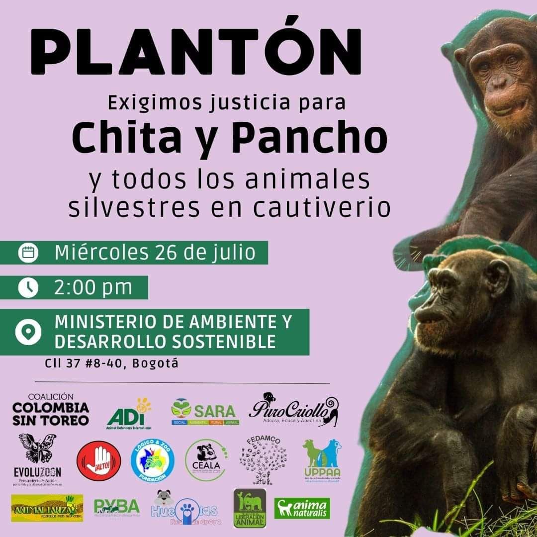 Este miércoles se realizará un plantón frente al Ministerio del Medio Ambiente en Bogotá para reclamar por la muerte de ‘Pancho’ y ‘Chita’.