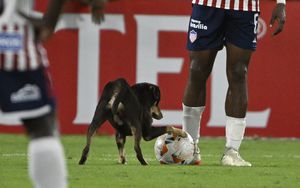 Un perro se apareció en el partido entre Atlético Junior y Universitario del Perú, por la Copa Libertadores 2024,  que tuvo que ser detenido. /Foto Luis ACOSTA / AFP)