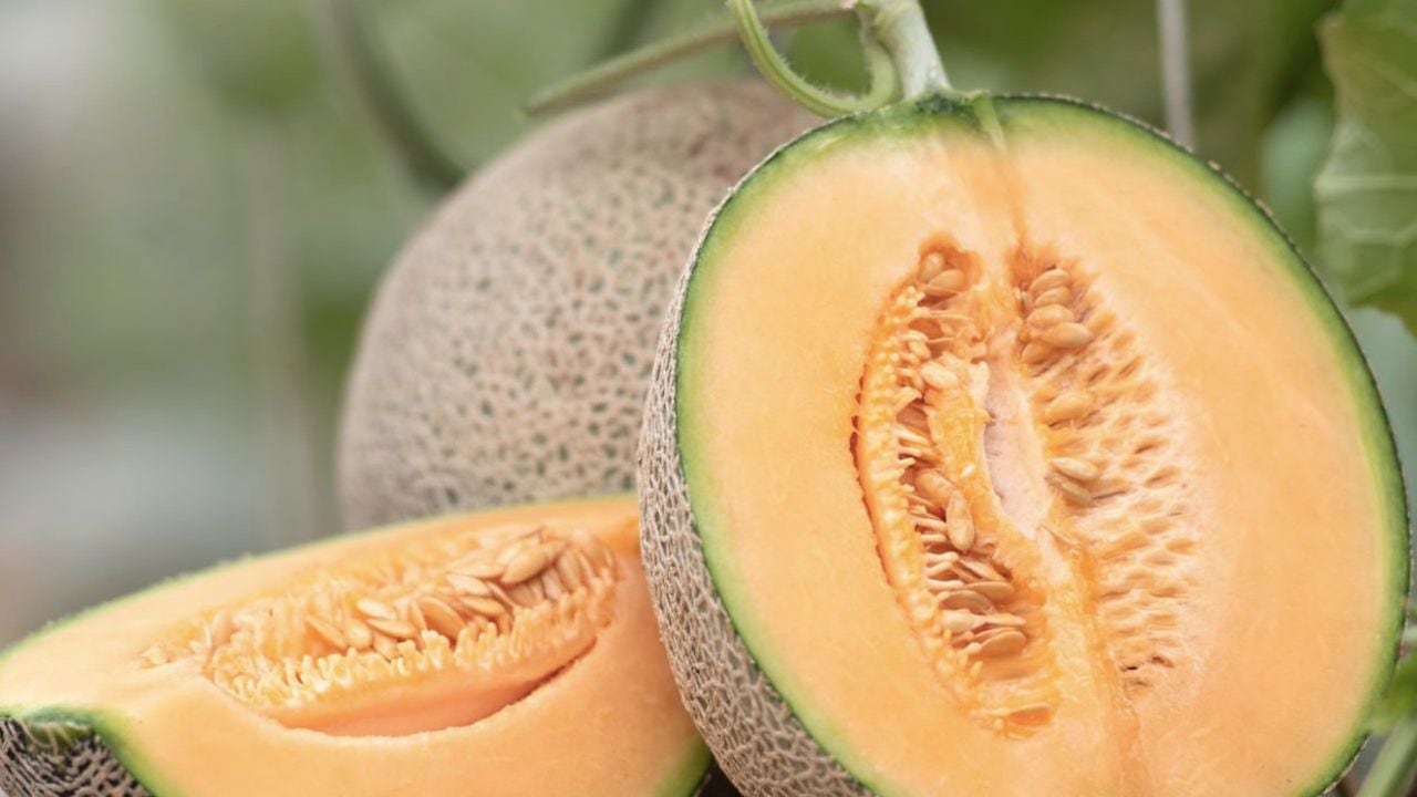 El melón es un excelente diurético natural