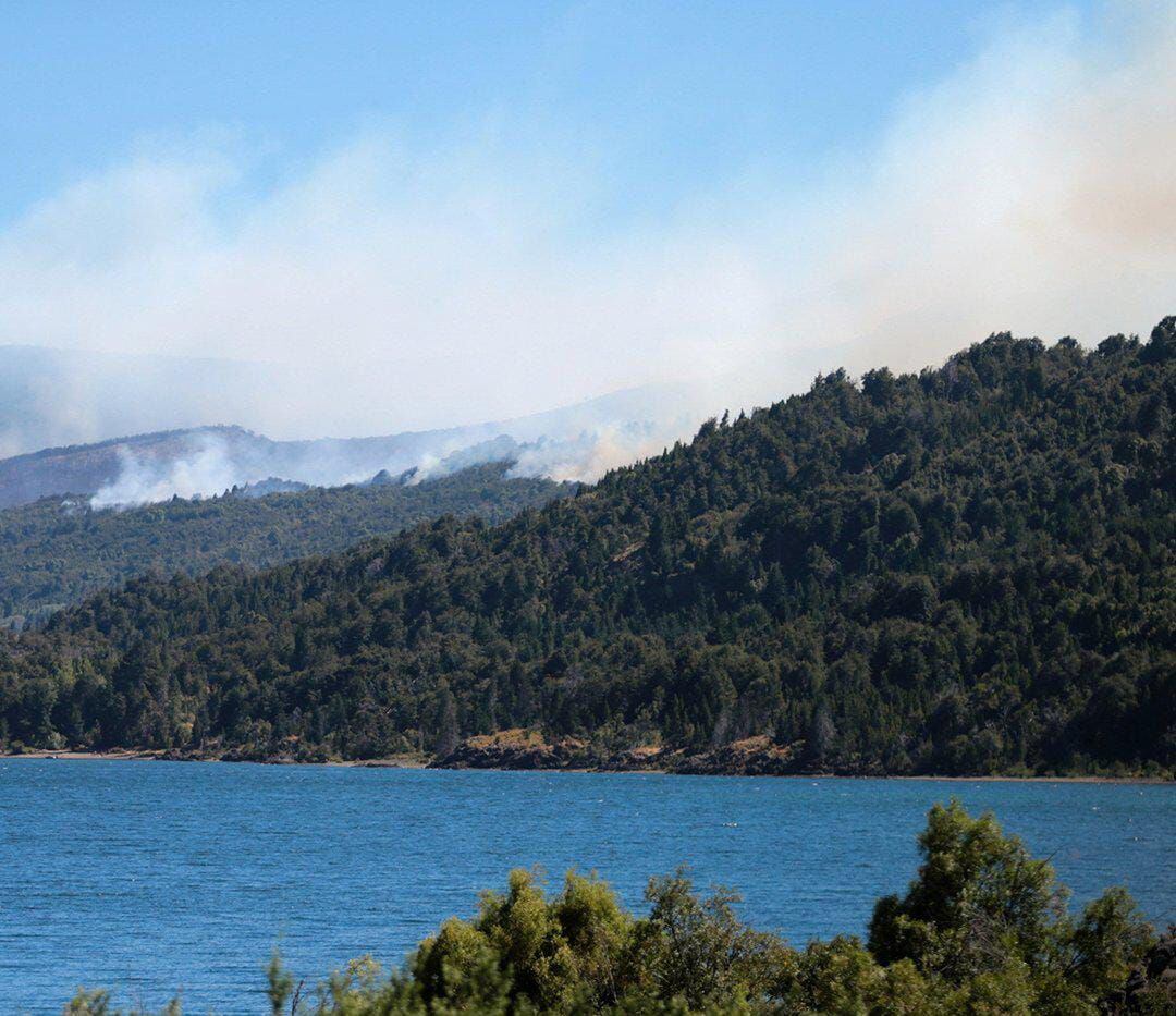 Cerda de 2000 hectáreas han sido consumidas por este incendio.
