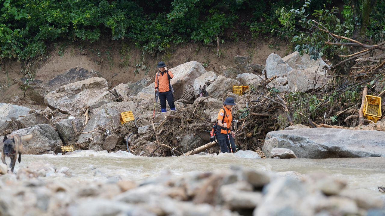 Rescatistas de Corea del Sur buscando personas desaparecidas después de que un deslizamiento de tierra azotara una pequeña aldea luego de fuertes lluvias en Yecheon.