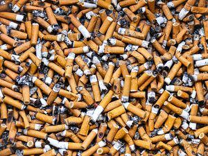 This photograph depicts countless cigarette butts in a public ashtray. The photograph was taken in the city of Courbevoie, in the department of Hauts-de-Seine, France.