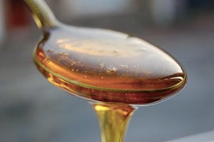 Adentrándose en técnicas hortícolas poco convencionales, se revela cómo la miel puede desempeñar un papel crucial en el desarrollo saludable del árbol de jade.