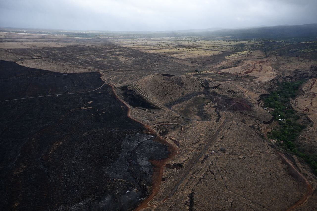 Una imagen aérea tomada el 10 de agosto de 2023 muestra una ladera quemada sobre Lahaina después de los incendios forestales en el oeste de Maui, Hawái.